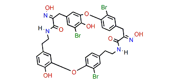 Bastadin 21